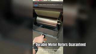 स्थायित्व के लिए मोटर रोटर संसेचन मशीन